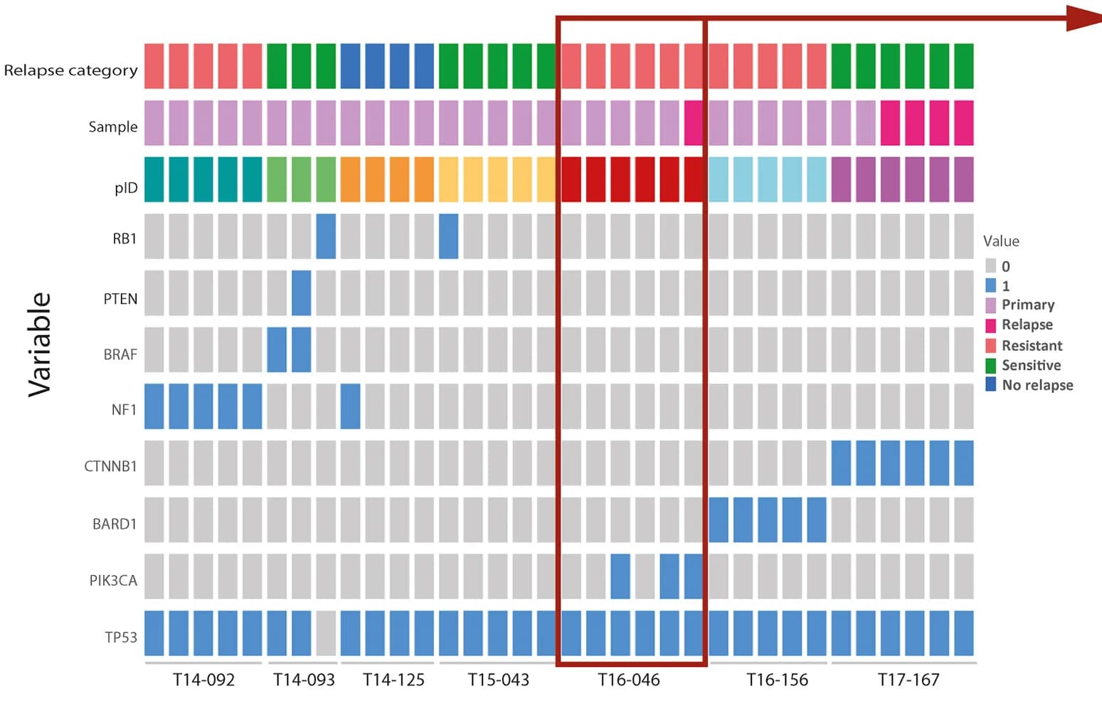 Open access visualization of Heatmap, Somatic Driver Gene Mutations, Primary Tumors, Relapse Tumors, SNVs