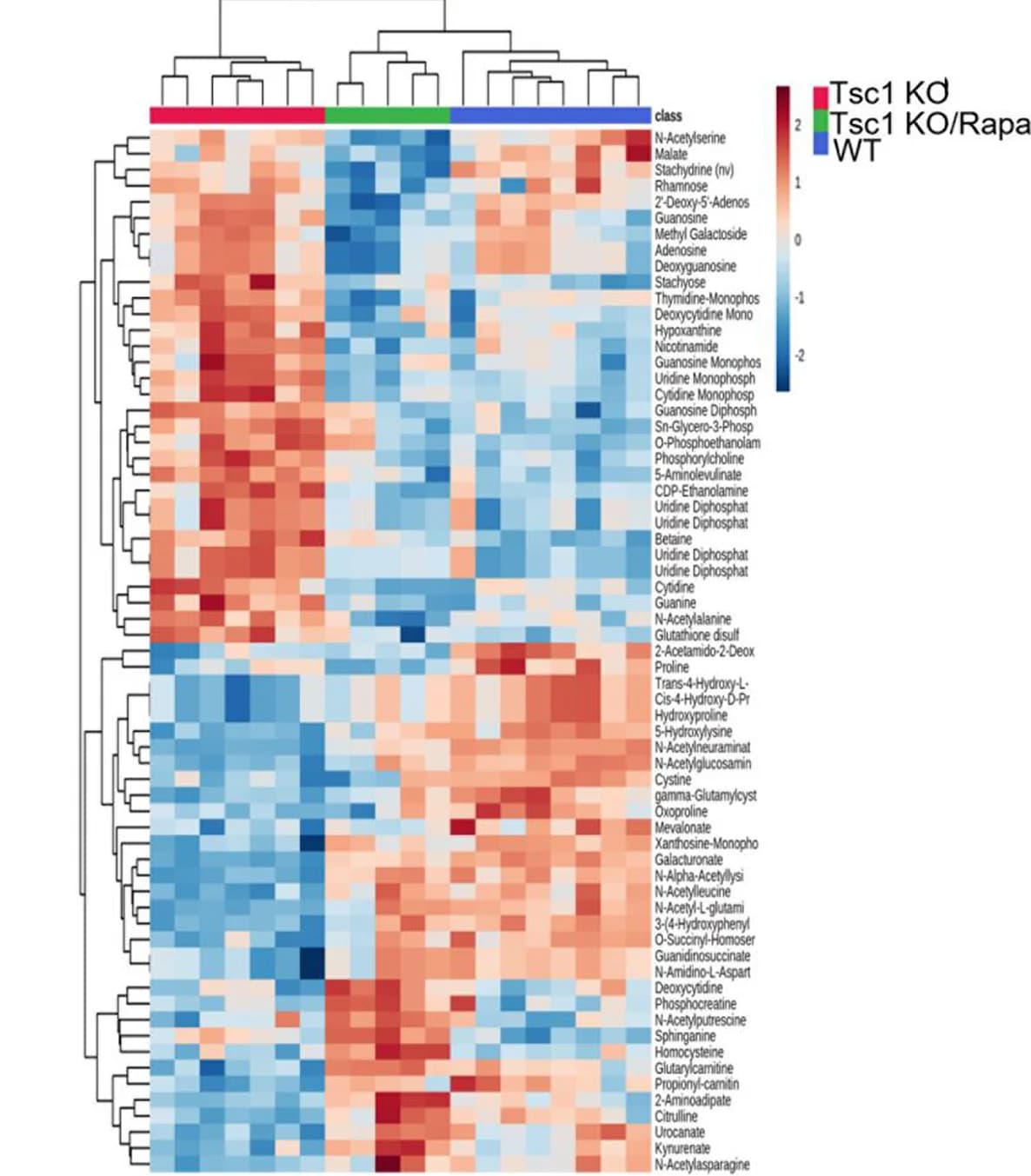 Open access visualization of Heatmap, Clustered, Dendrogram, Hierarchical Clustering, Samples