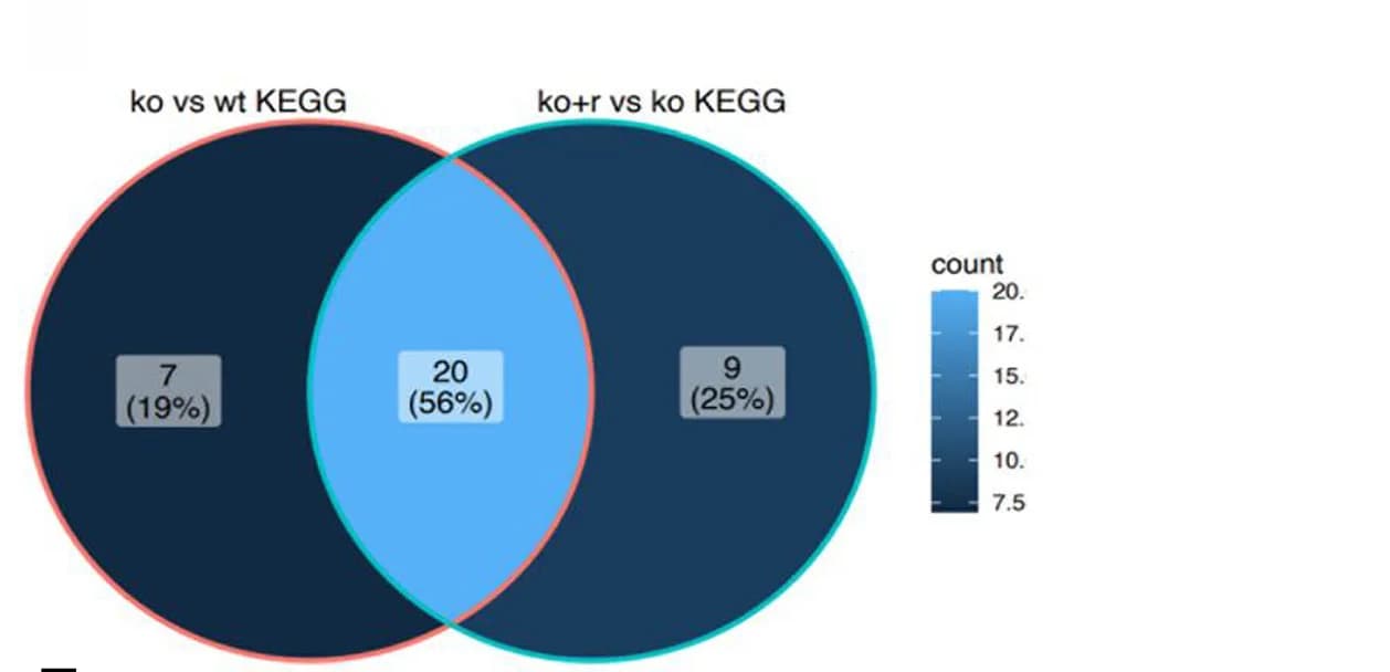 Open access visualization of Venn Diagram, Metabolic Pathways, Altered Metabolites, Tsc1KO, Rapamycin