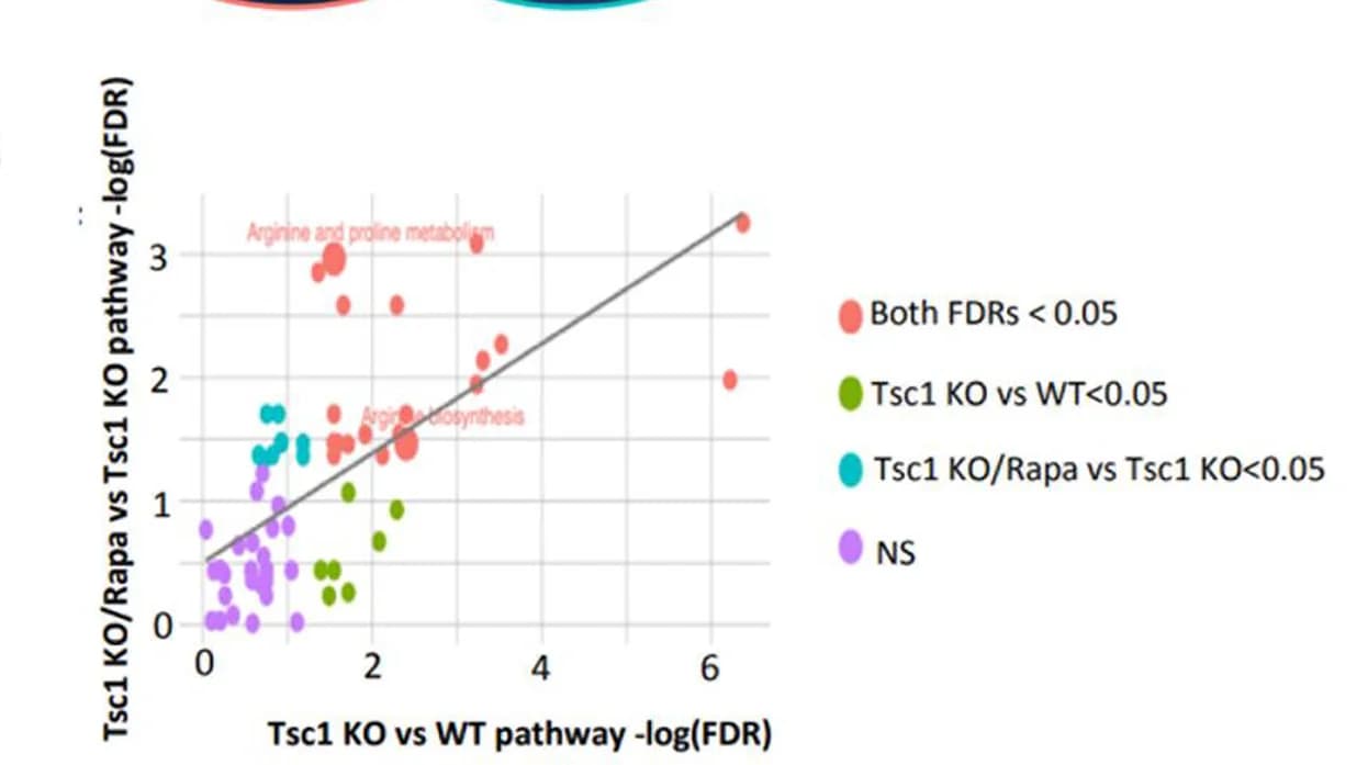 Open access visualization of Scatter Plot, Regression Plot, Scatterplot, Correlation, False Detection Rate