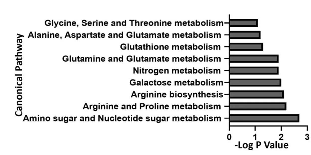 Open access visualization of Bar Plot, Metabolic Pathways, Altered Metabolites