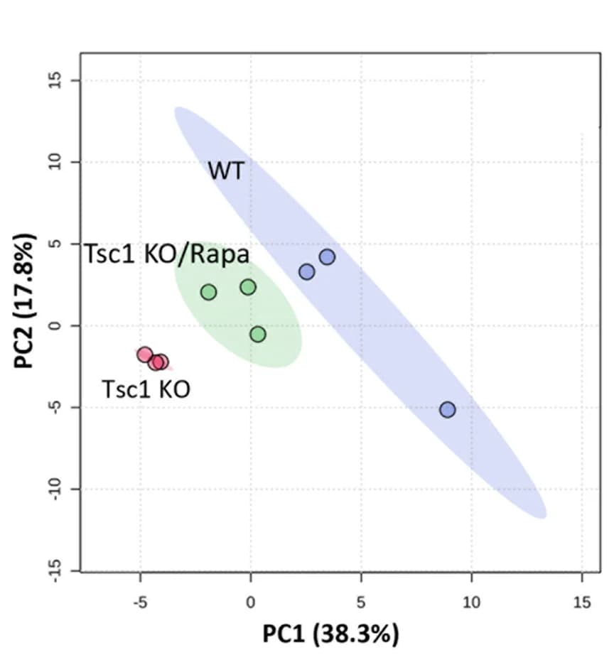 Open access visualization of Scatter Plot, PCA, Principal-Component Analysis, WT Mice, Tsc1KO Mice