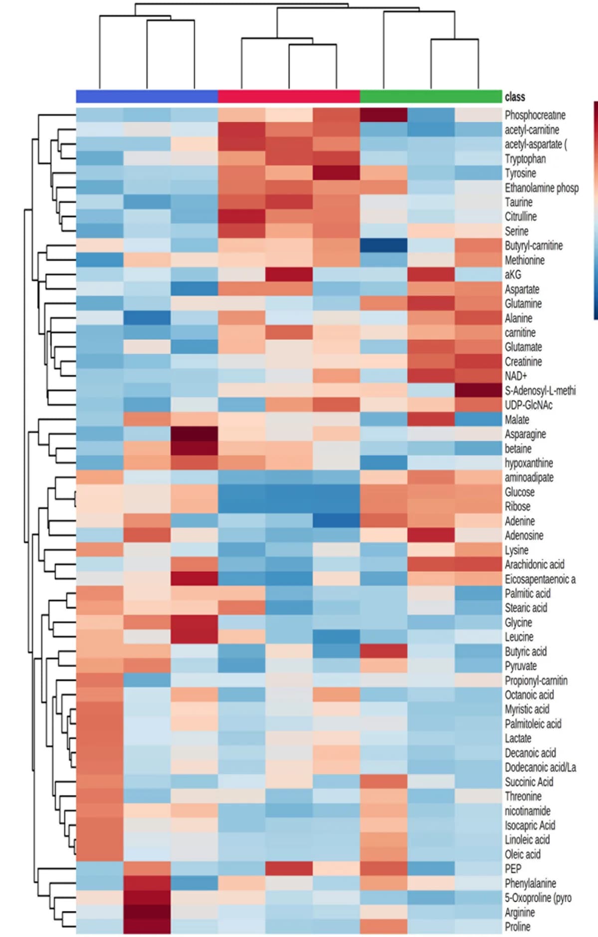 Open access visualization of Heatmap, Clustered, Dendrogram, Hierarchical Clustering, Metabolites