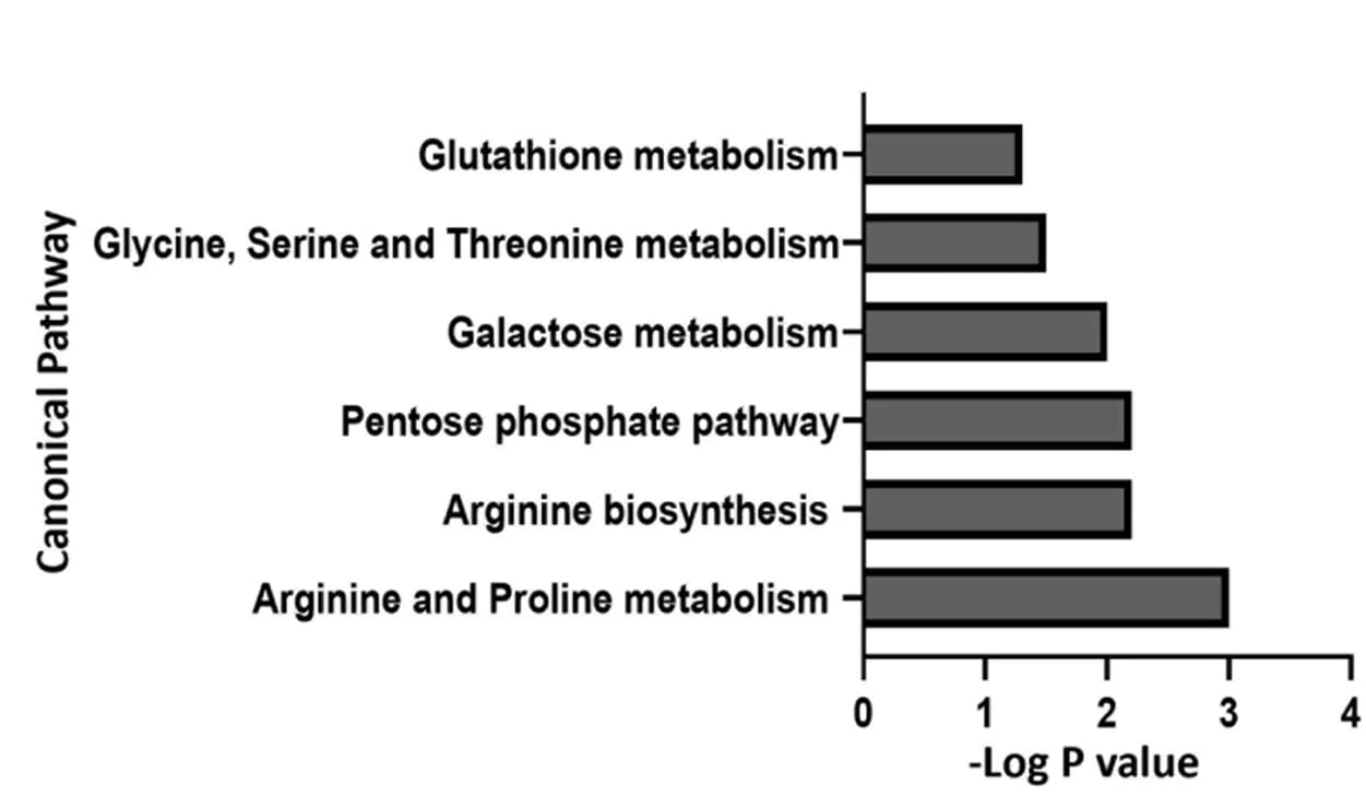 Open access visualization of Bar Plot, Pathways, Metabolites, MetaboAnalyst 4.0, Metabolite Concentration