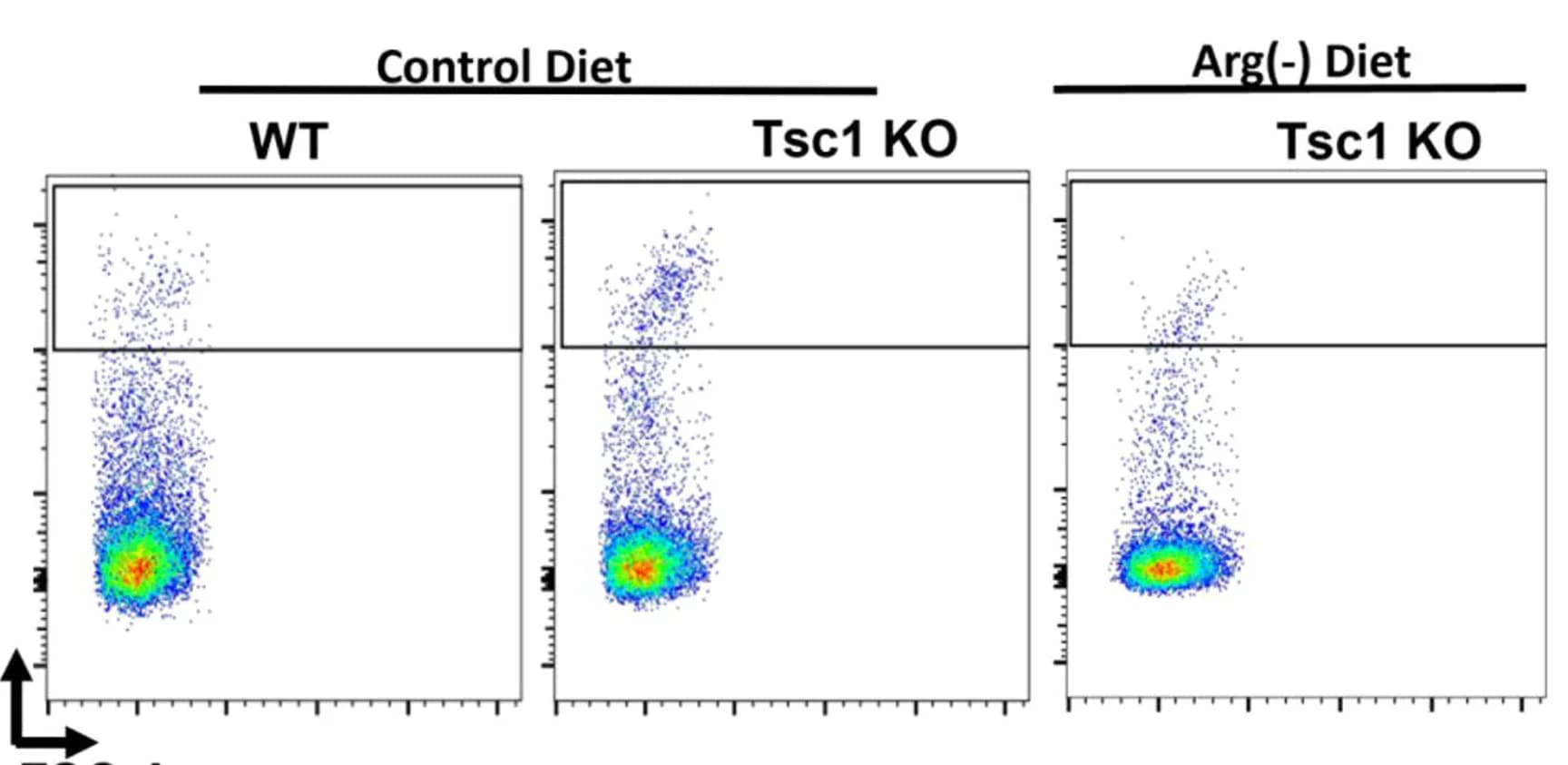 Open access visualization of Scatter Plot, Kidney, WT Mice, Tsc1 KO Mice, Control Diet
