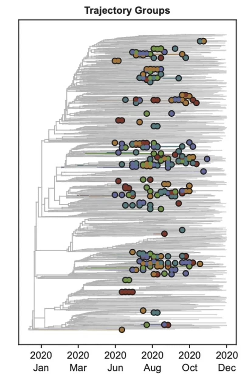 Open access visualization of Scatter Plot, Network, Pathway, Clinical Trajectory Group, Lineages
