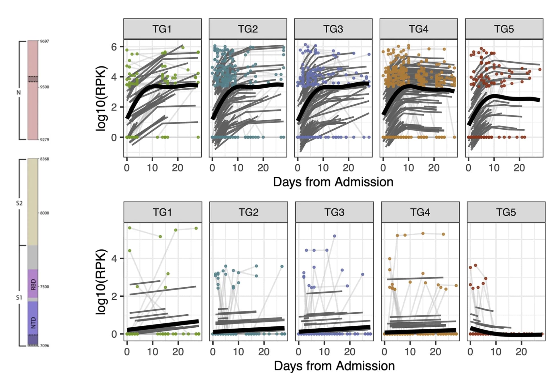 Open access visualization of Line Plot, Scatter Plot, Line Step, Seroreactivity, SARS-CoV-2 Regions
