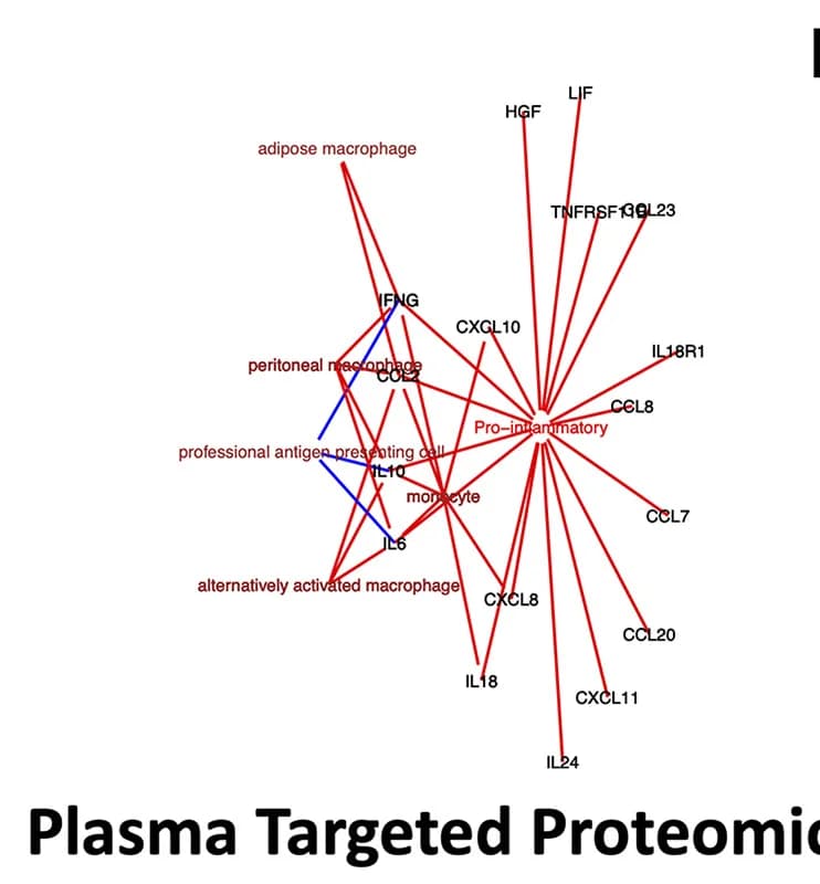 Open access visualization of Network, Pathway, Serum Olink Data, Olink.mod2, Clinical Trajectory Groups