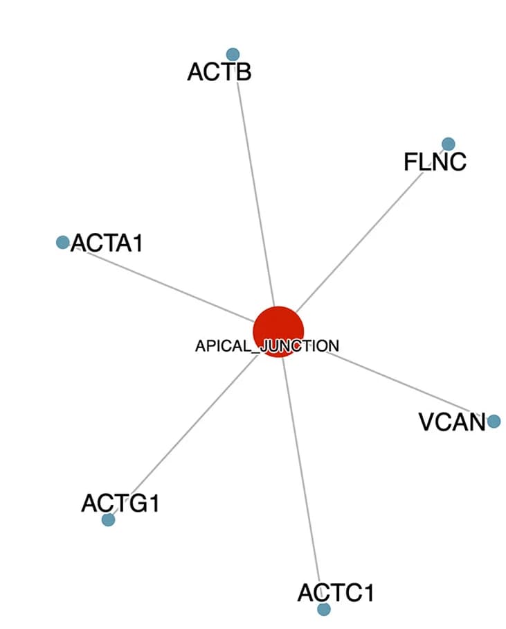 Open access visualization of Network, Pathway, Mass Spectrometry, Plasma Proteomics, Global.prot.mod4