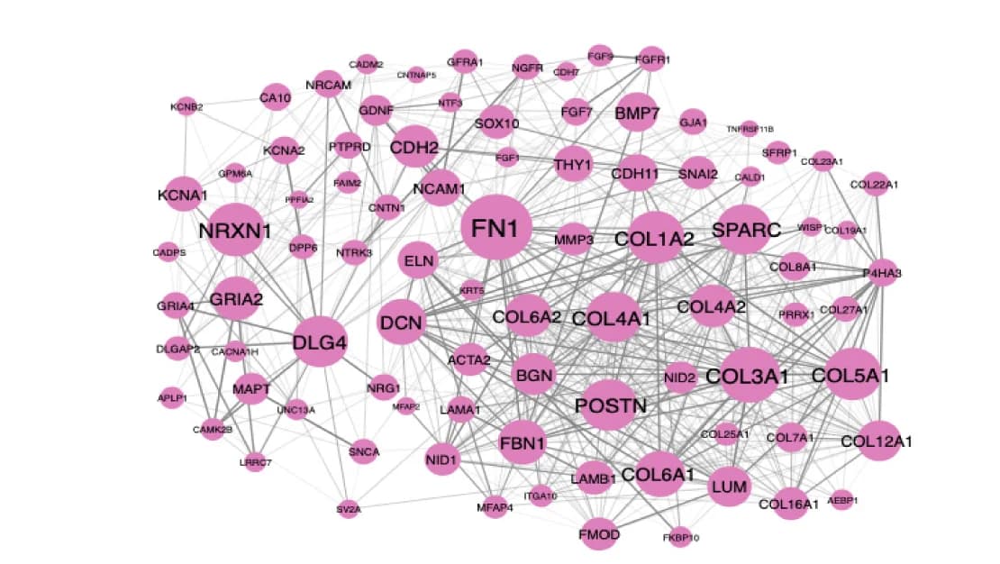 Open access visualization of Network, Pathway, NasalRNAseq.mod3, Protein-protein interactions, Genes