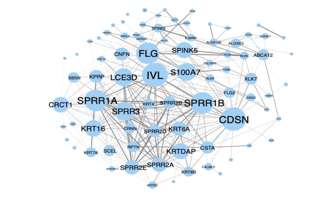 Open access visualization of Network, Pathway, NasalRNAseq.mod.4, Protein-protein interactions, Genes