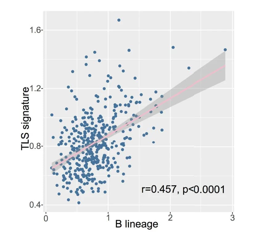 Open access visualization of Scatter Plot, Regression Plot, B Cells, TLS Markers