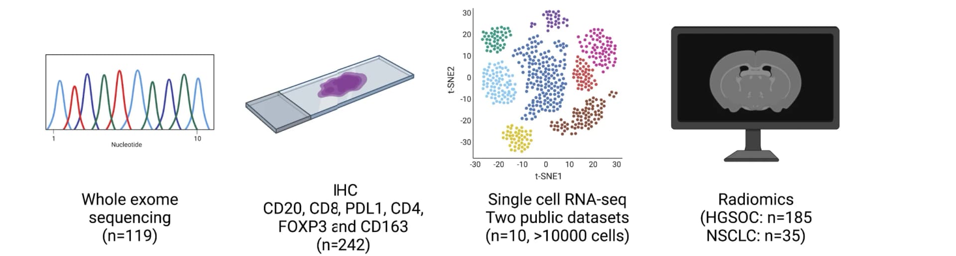 Open access visualization of Line Plot, Microscopy, Scatter Plot, Whole-Exome Sequencing, Immunohistochemistry