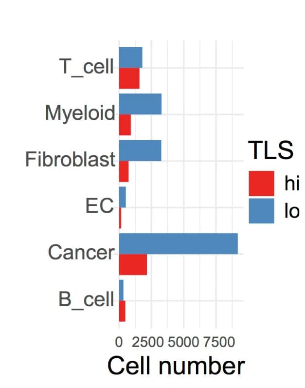 Open access visualization of Bar Plot, Clustered, Cell Numbers, Cell Subtypes, TLS-low Ovarian Tumors