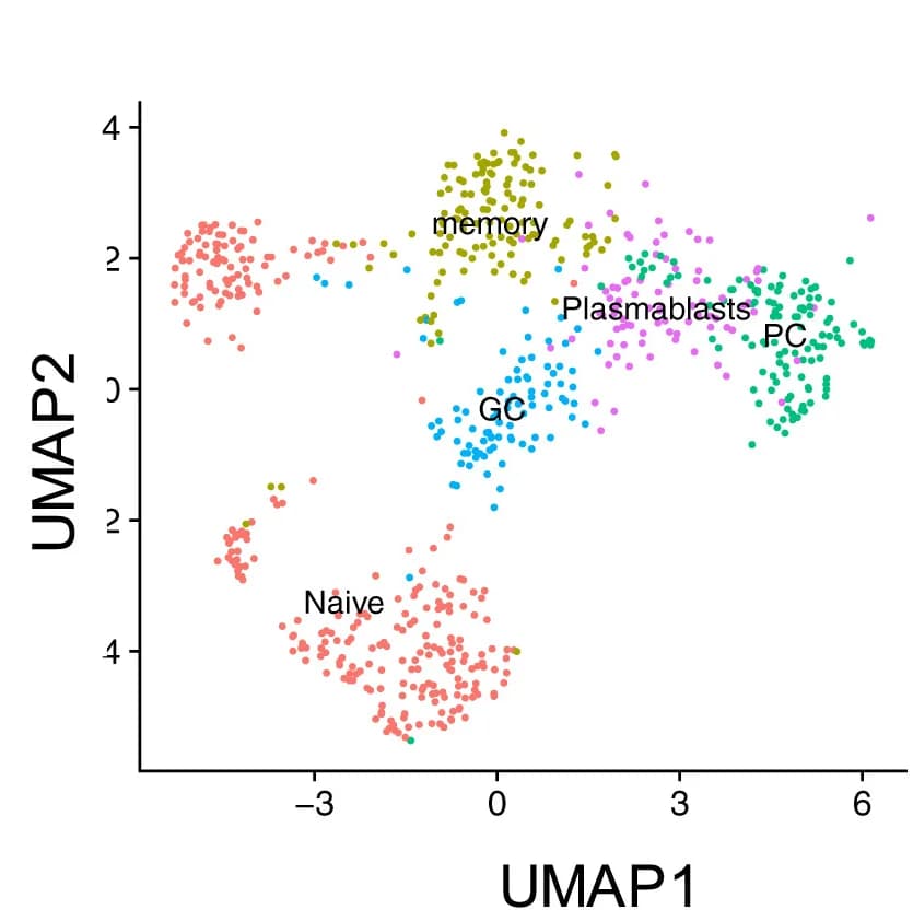 Open access visualization of UMAP, Scatter Plot, B Cell Subtypes, Ovarian Tumors, Naive Cells