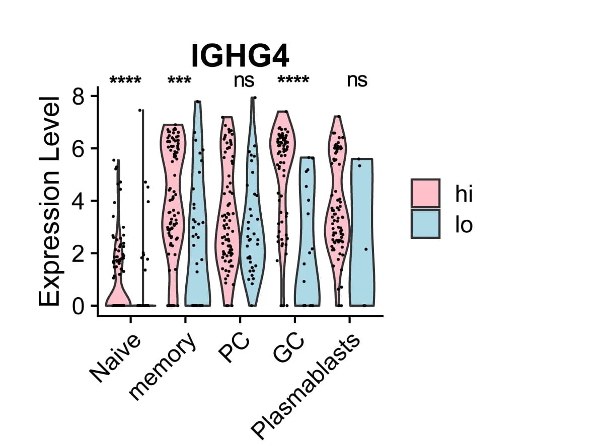 Open access visualization of Violin Plot, Box Plot, Scatter Plot, IGHG4 Expression, B Cell Subtypes