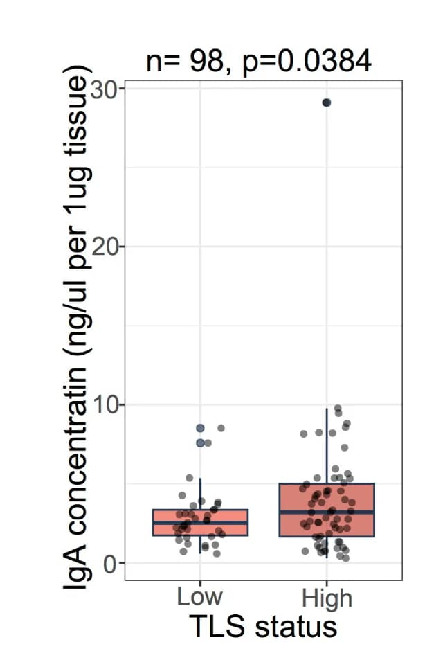 Open access visualization of Box Plot, Scatter Plot, IgA Concentration, Ovarian Tumors, TLS-high Tumors