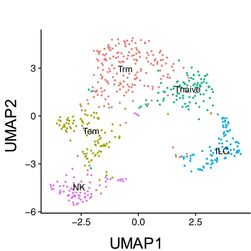 Open access visualization of Scatter Plot, UMAP, T Cell Subpopulations, Ovarian Tumors, Non-Malignant Tissues