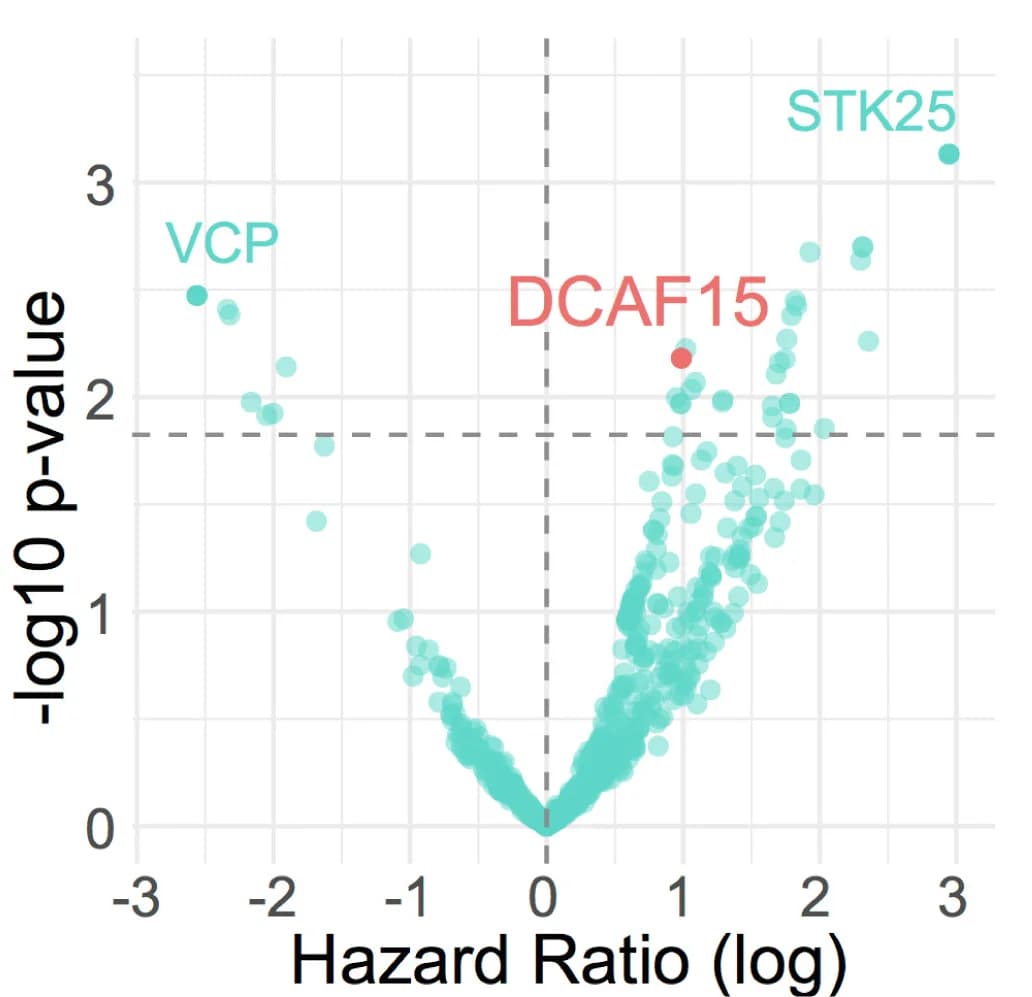 Open access visualization of Volcano Plot, Scatter Plot, CNAs, TLS, Cox Regression