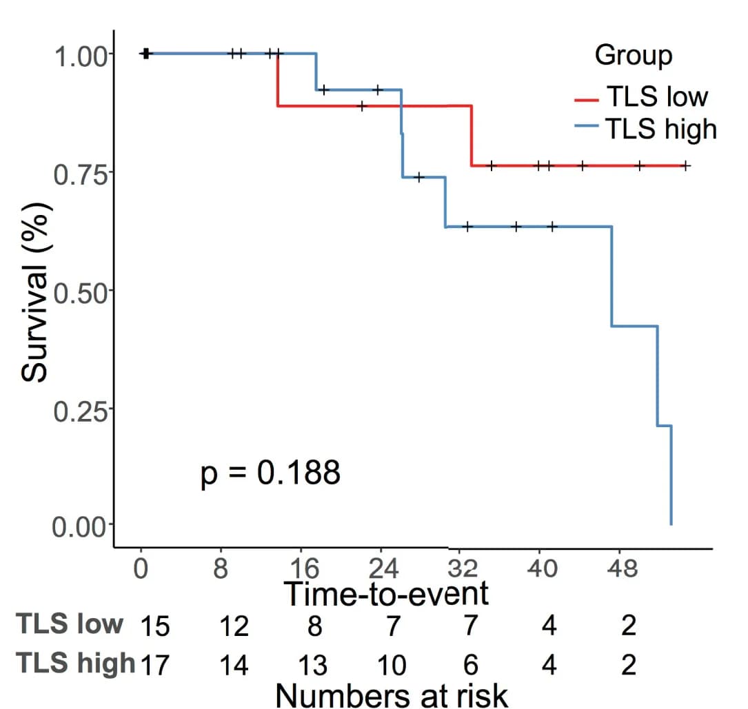Open access visualization of Survival Curve, Line Step, Kaplan-Meier Plots, TLS, Overall Survival