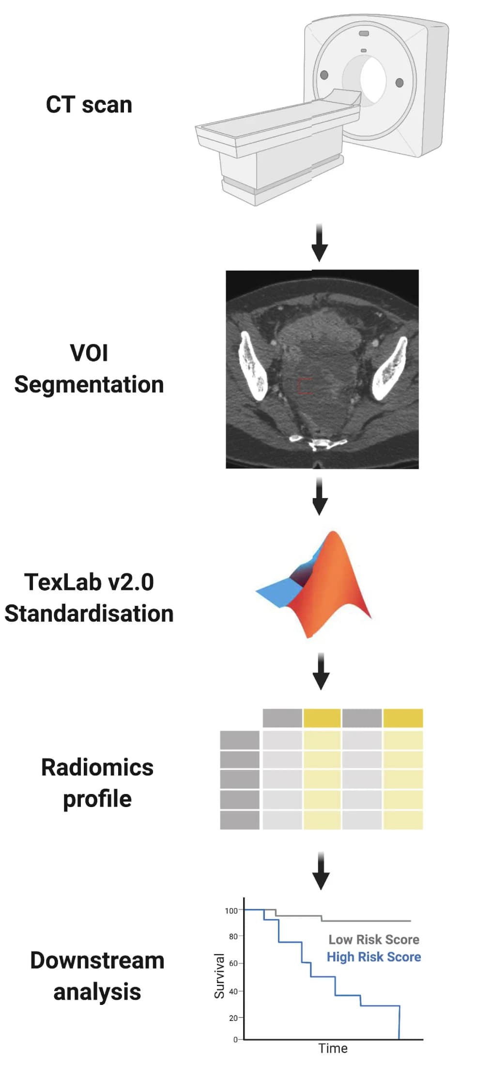 Open access visualization of Workflow, Microscopy, Line Step, Survival Curve, Radiomics Analysis