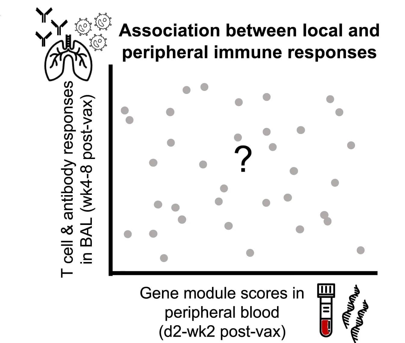 Open access visualization of Scatter Plot, Gene Module Scores, Peripheral Blood, T Cell Responses, B Cell Responses