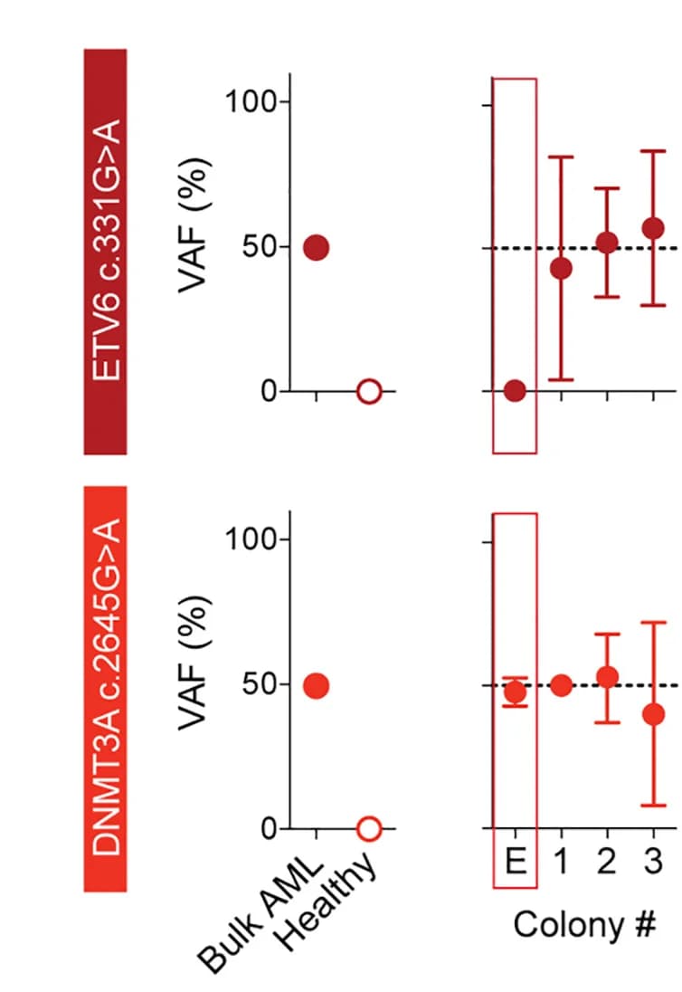 Open access visualization of Scatter Plot, Error Bars, Variant Allele Frequency, Patient-Specific Mutations, DNA