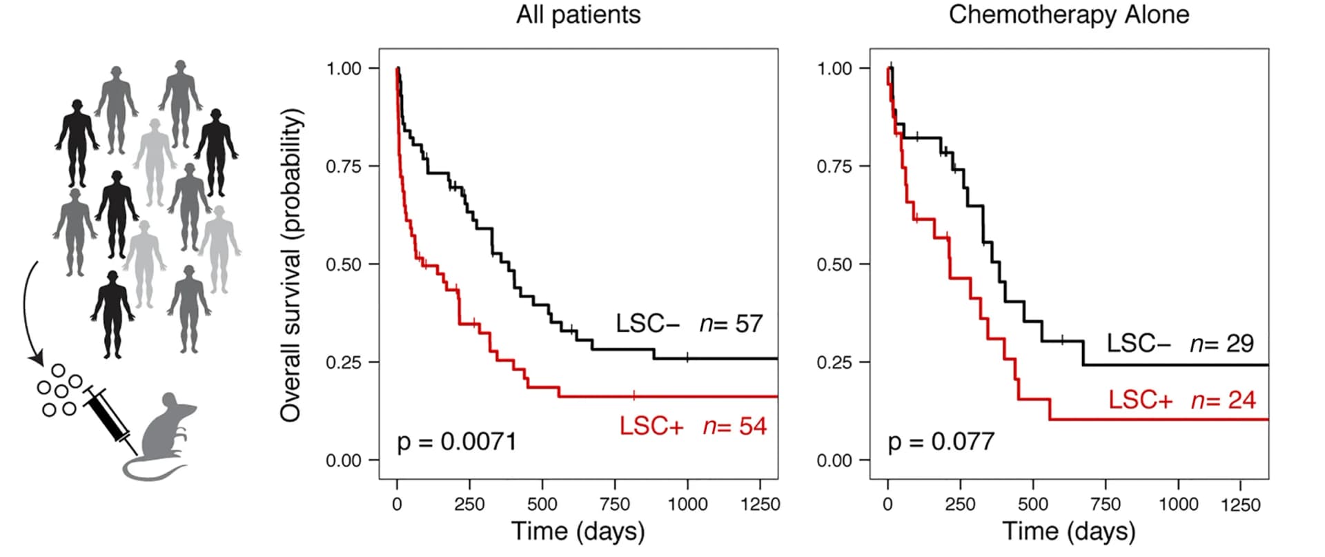 Open access visualization of Survival Curve, Illustration, Kaplan-Meier estimate, Overall Survival, LSC- Patient Subset