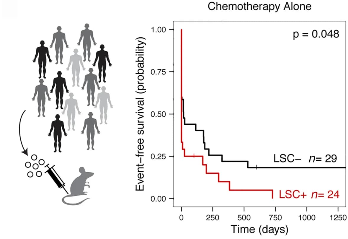 Open access visualization of Line Plot, Line Step, Survival Curve, Illustration, Kaplan-Meier Estimate