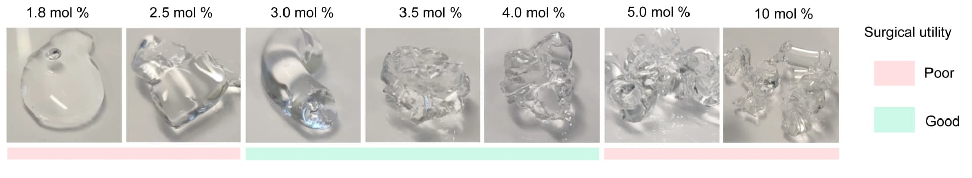 Open access visualization of Photo, Gel, Hydrogel, HA Polymer, Crosslinker