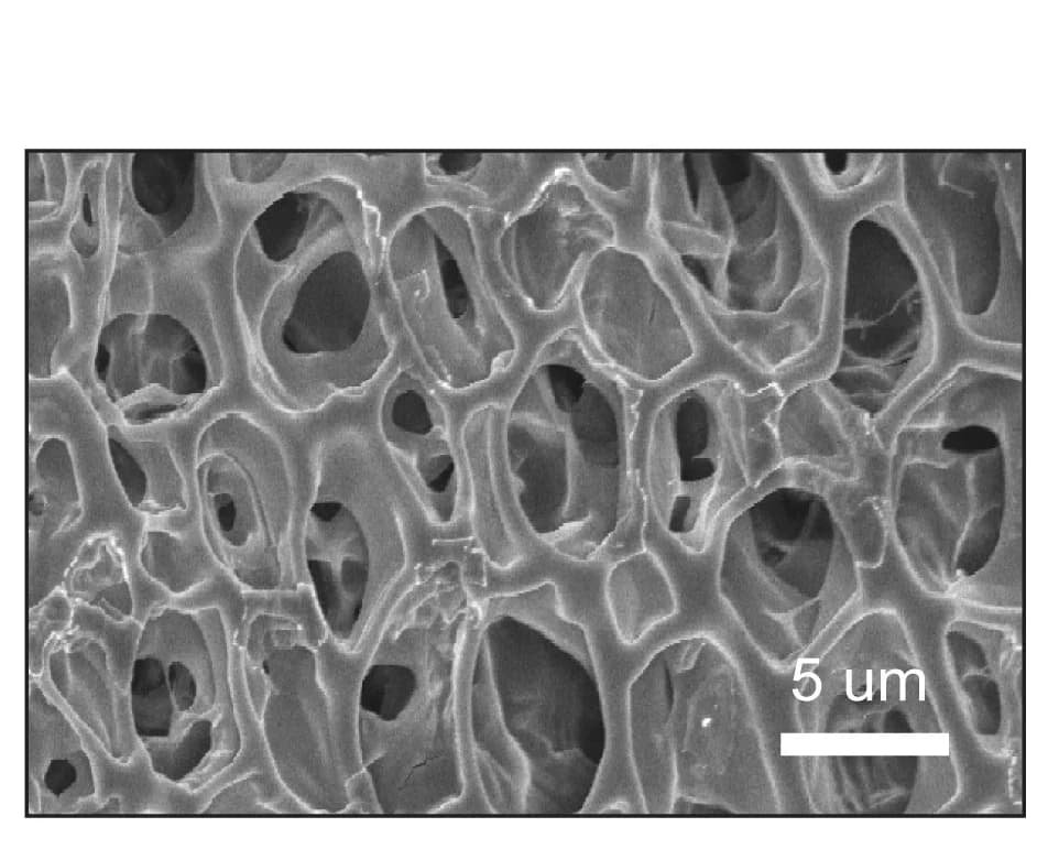 Open access visualization of Microscopy, Scanning Electron Microscopy, Hydrogel, HA Polymer, Crosslinker