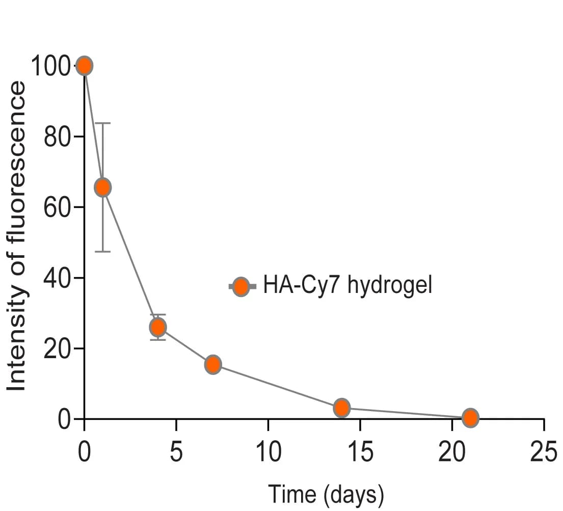 Open access visualization of Line Plot, Error Bars, In Vivo Gel Degradation Profile, Cy7, Signal