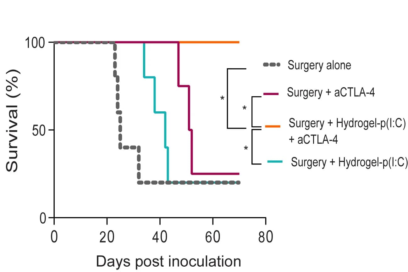Open access visualization of Survival Curve, Line Plot, Line Step, Survival, Mice