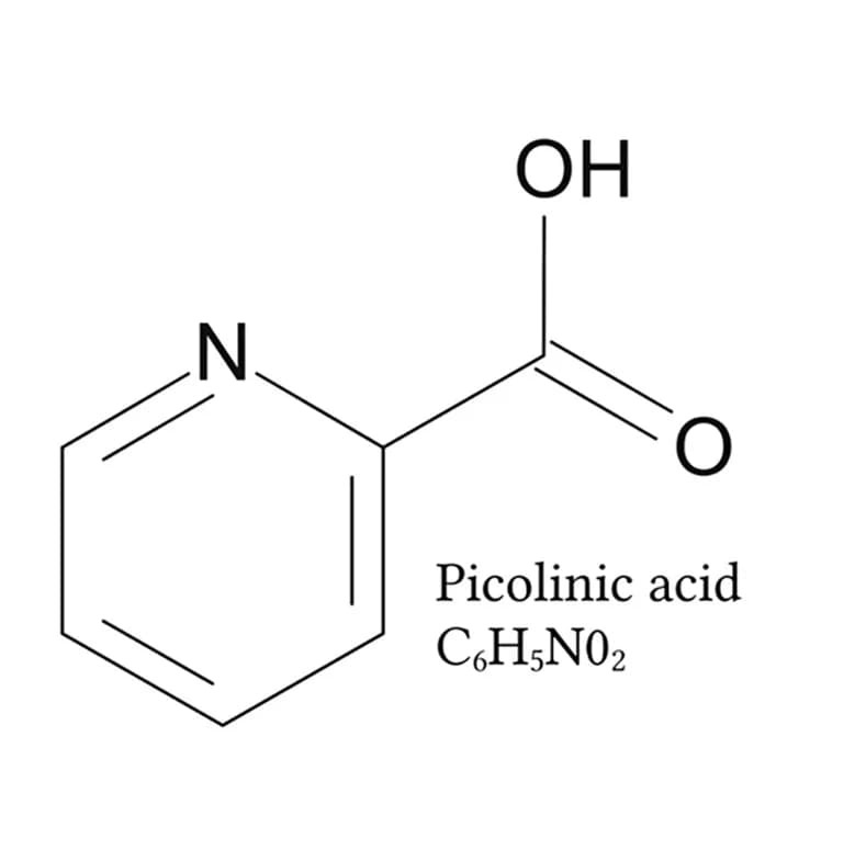 Open access visualization of Chemical Structure, Picolinic Acid