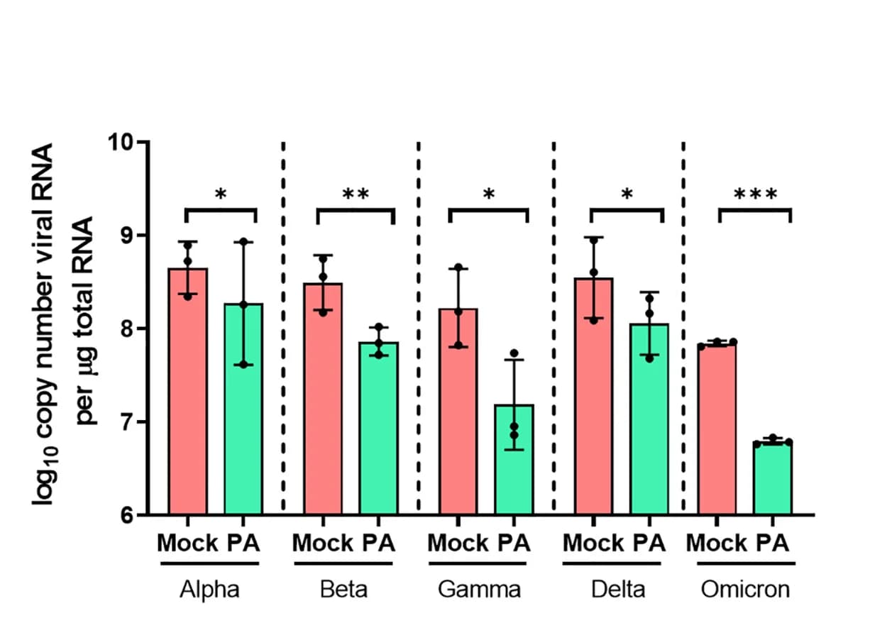 Open access visualization of Bar Plot, Error Bars, Clustered, HEK293T-ACE2 Cells, SARS-CoV-2 VOCs