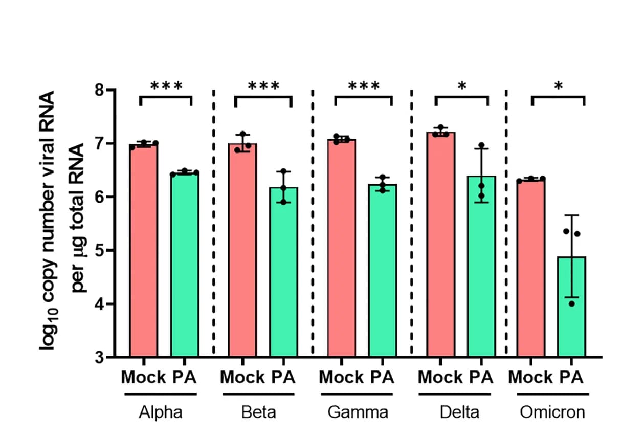 Open access visualization of Bar Plot, Error Bars, Clustered, Vero E6 Cells