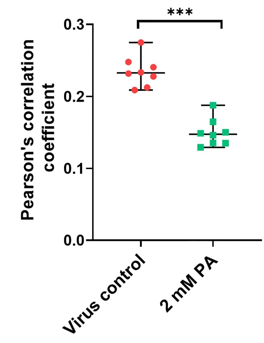 Open access visualization of Scatter Plot, Error Bars, Pearson's correlation coefficients, Red channel, Green channel