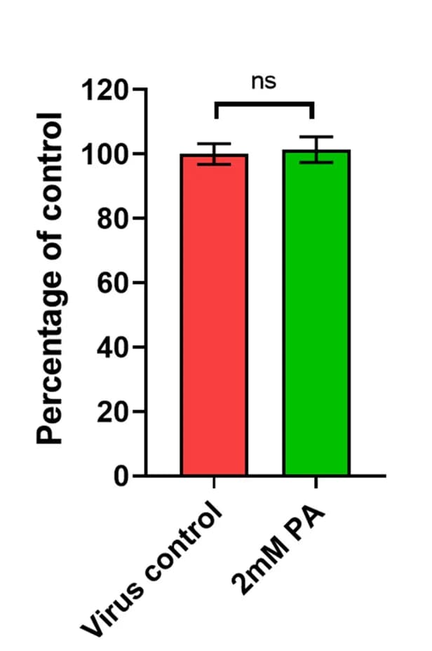 Open access visualization of Bar Plot, Error Bars, HEK293T Cells, Pre-treatment, RRV Infection