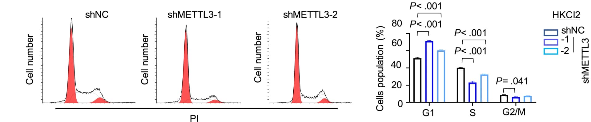 Open access visualization of Bar Plot, Histogram, Error Bars, METTL3 Knockdown, G1 Phase