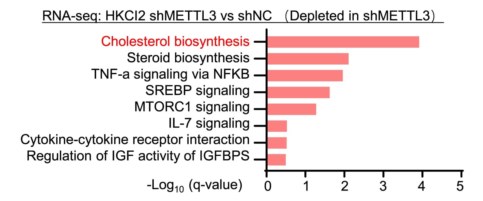 Open access visualization of Bar Plot, RNA-seq, METTL3, Cholesterol Biosynthesis, HKCI2 Cells