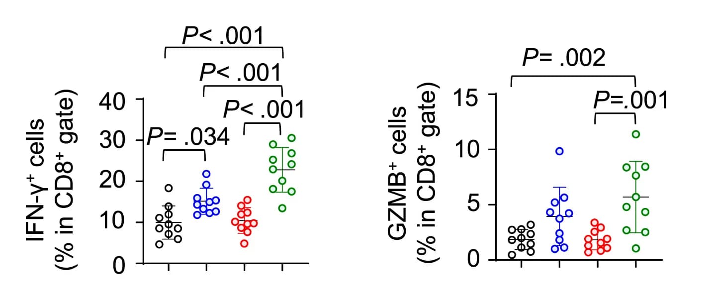 Open access visualization of Scatter Plot, Error Bars, Tumor-Infiltrating Cells, IFN-γ, GZMB