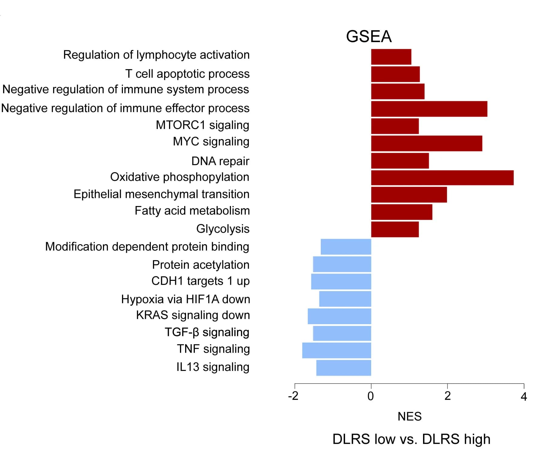Open access visualization of Bar Plot, Molecular Pathways, Enrichment Score, DLRS-High Group, DLRS-Low Group