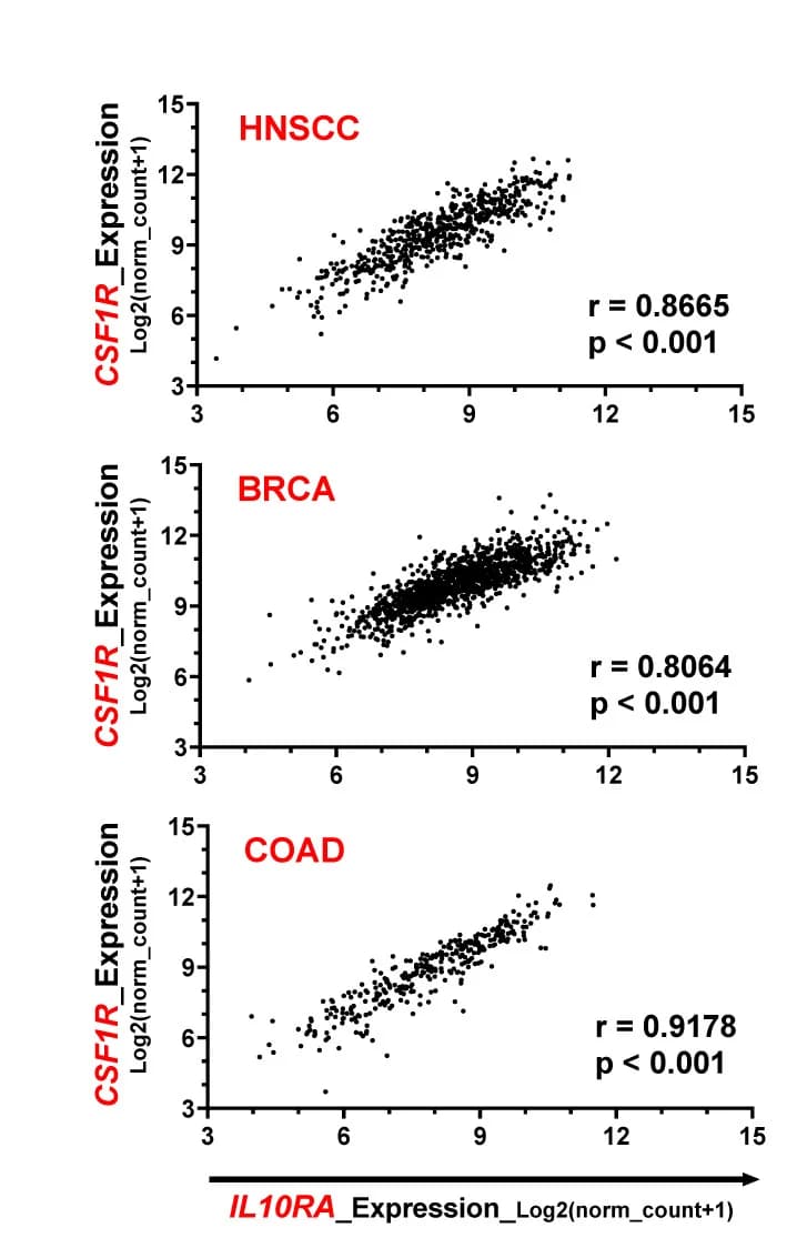 Open access visualization of Scatter Plot, Regression Plot, RNA Level, IL-10, IL-10-RA