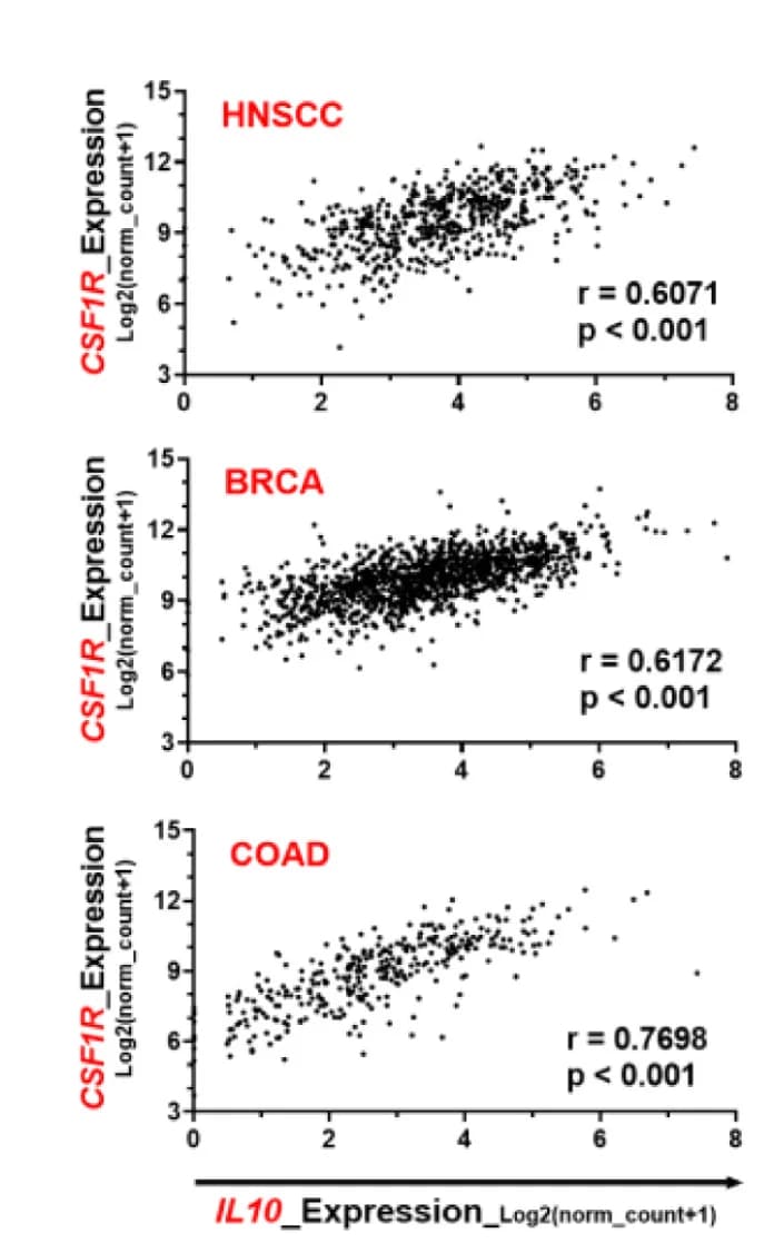 Open access visualization of Scatter Plot, Regression Plot, RNA Level, IL-10, IL-10-RA