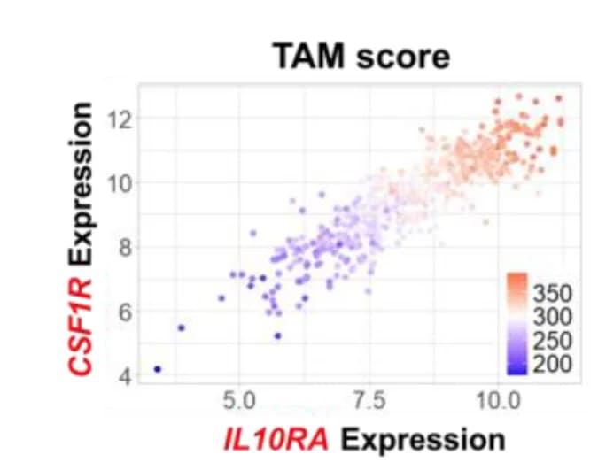 Open access visualization of Scatter Plot, 3D Scatterplots, CD8+T Score, Tumor-Associated Macrophage Score, IL-10