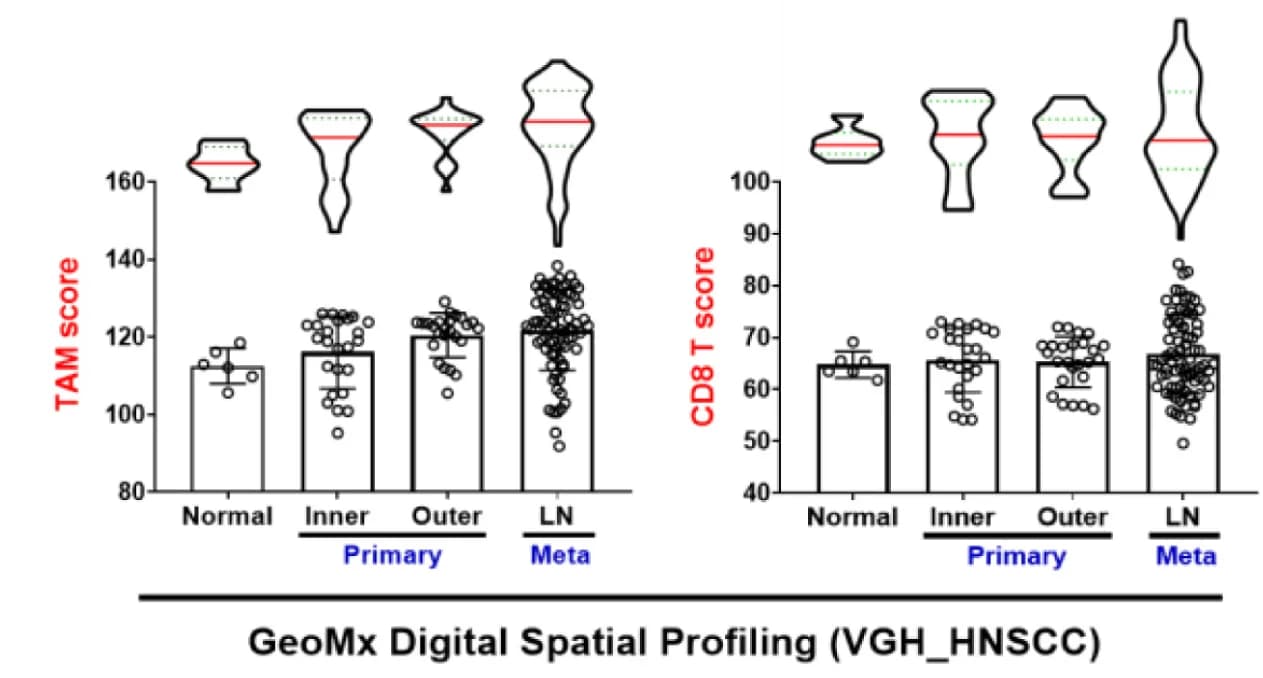 Open access visualization of Violin Plot, Box Plot, Scatter Plot, Error Bars, Digital Spatial Profiling Analysis