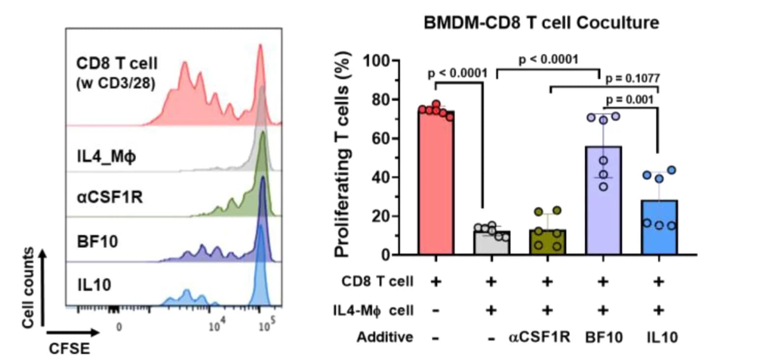 Open access visualization of Bar Plot, Error Bars, Histogram, BF10, T Cell Proliferation
