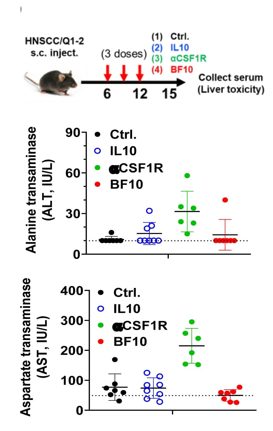 Open access visualization of Scatter Plot, Error Bars, Experimental Scheme, Liver Toxicity, Mice