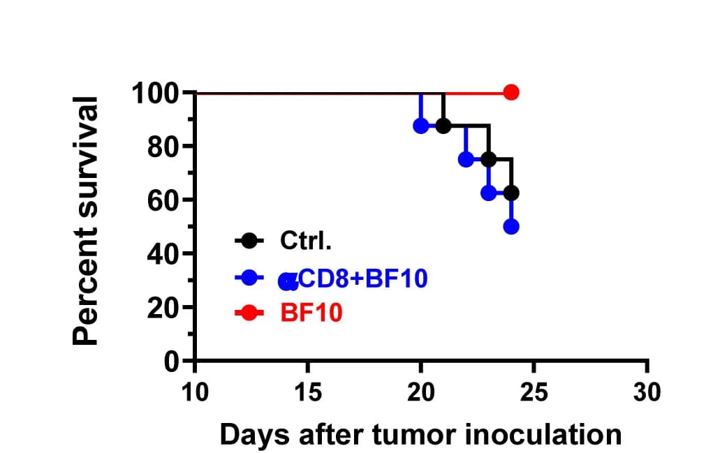 Open access visualization of Line Plot, Line Step, Survival Curve, Kaplan-Meier Survival Curve, Tumor-bearing Mice