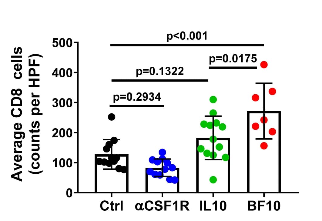 Open access visualization of Bar Plot, Error Bars, Scatter Plot, Quantitative Result, CD8+ T Cells